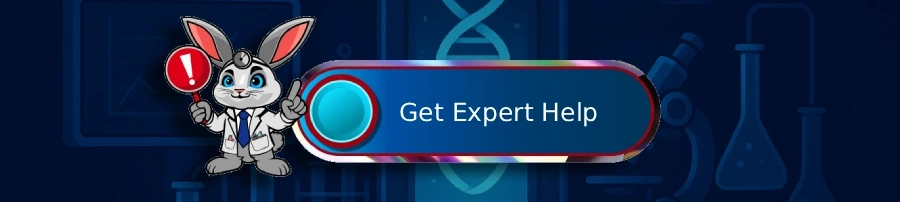 Mobile Split Image 2